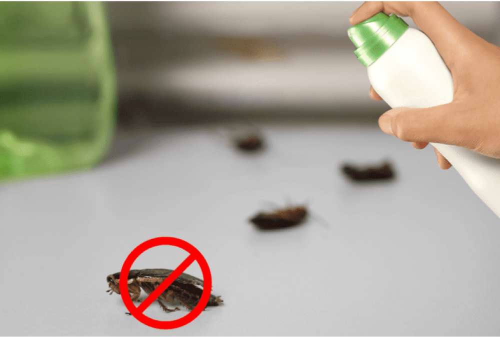 banner-bugs banner-bugs