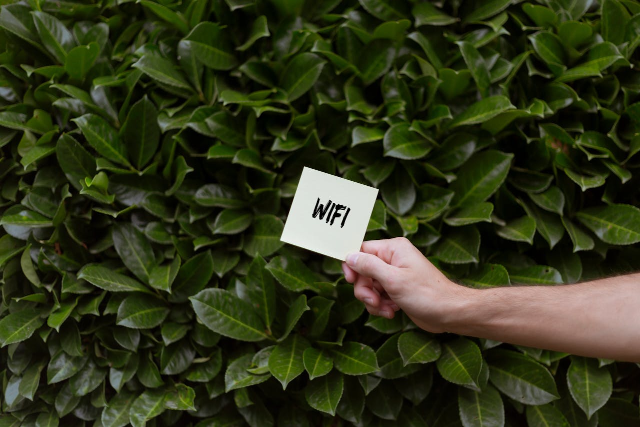 wifi wifi